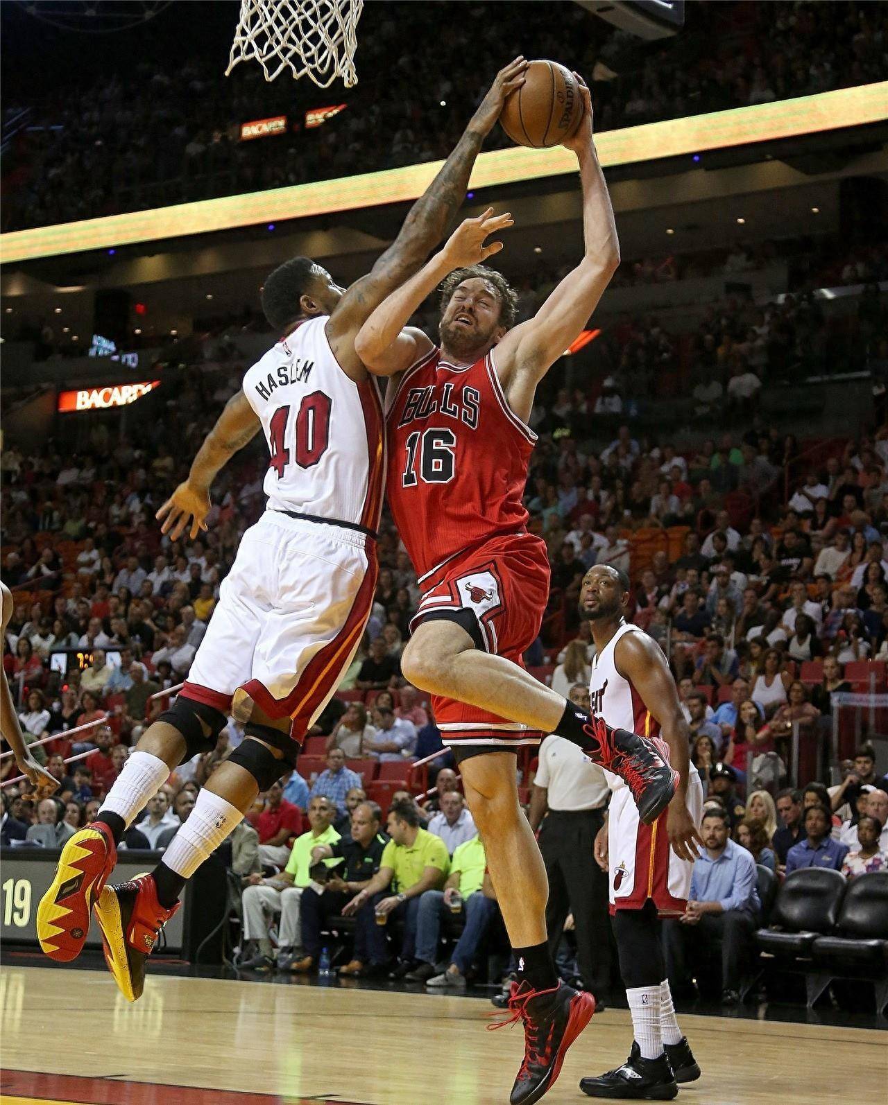 给予了充分 给予了充分