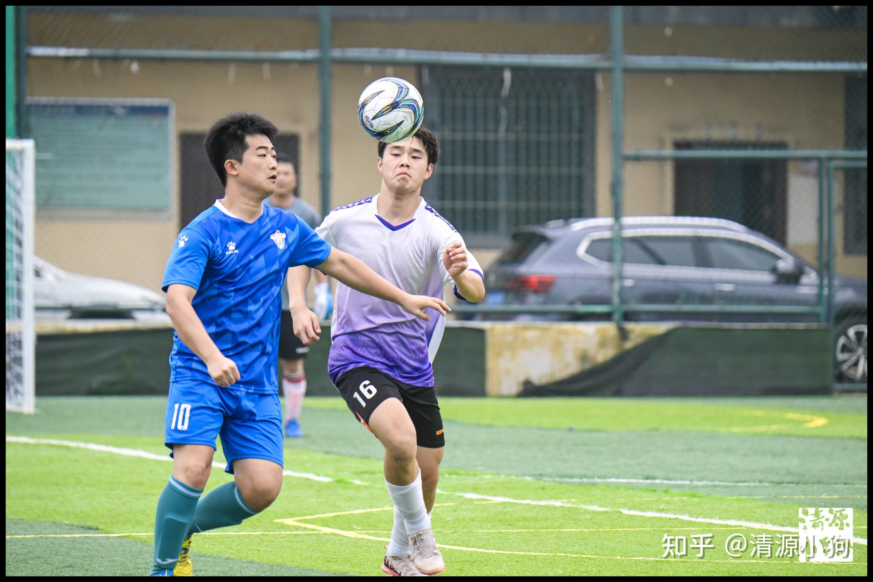 老队员还会 老队员还会